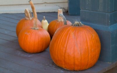 Pumpkin Carving Safety for Kids