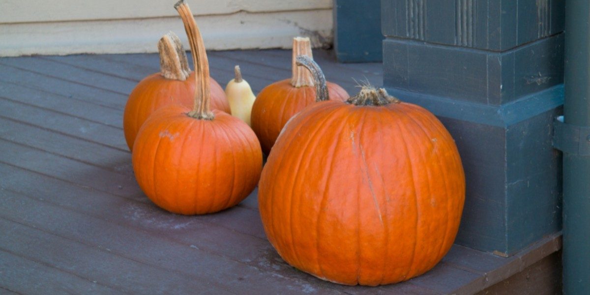 Pumpkin Carving Safety for Kids